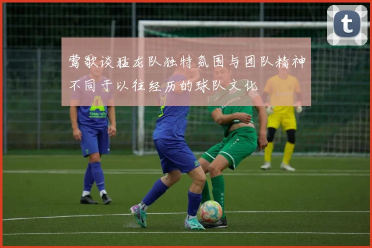 莺歌谈猛龙队独特氛围与团队精神不同于以往经历的球队文化