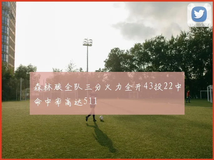 森林狼全队三分火力全开43投22中命中率高达511